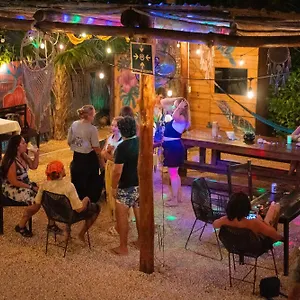 https://mapache-hostel.quintano-roohotels.com