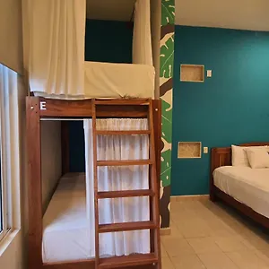 https://la-palmita.quintano-roohotels.com